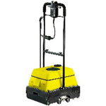 perii